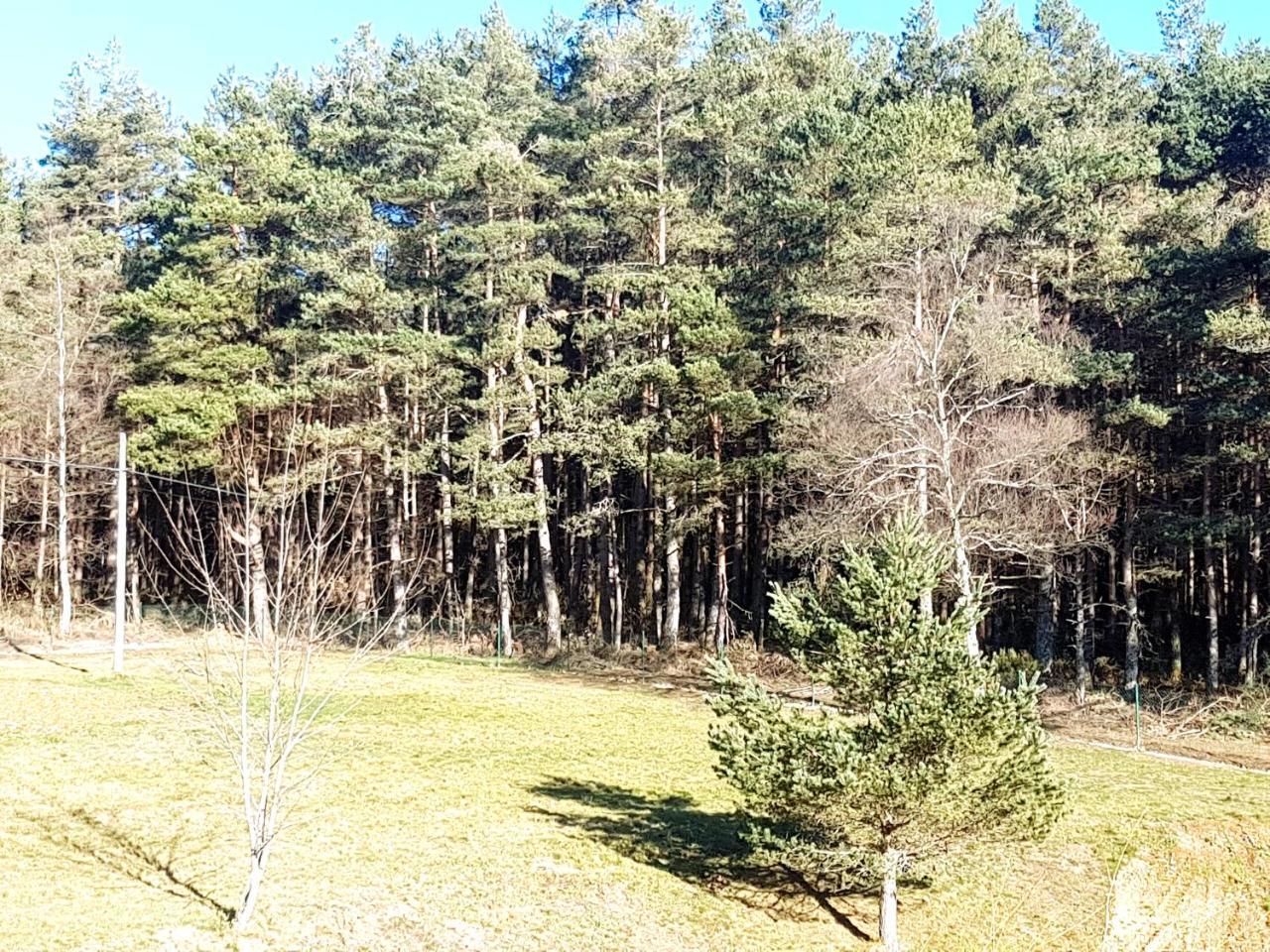 Complejo O Pineiral A Fonsagrada Otel Dış mekan fotoğraf